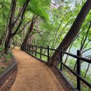 산지관리행정사사무소 이미지