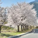 유가사등산로 이미지