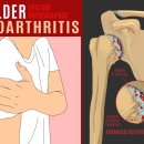 바디플로우짐 이미지