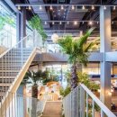 도그필드 이미지