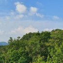 2021-주165 이미지