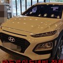 티디피 이미지