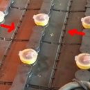 (주)유비텍 이미지