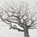 제주도립미술관 이미지