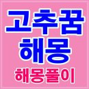 고추따는꿈 고추먹는꿈 고추사는꿈 고추받는꿈 고추말리는꿈 등 총정리 이미지