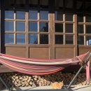 스테이 서하 이미지