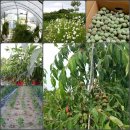 만춘농장 이미지