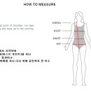 🌊수영 달글 2차🐬달글호칭🦦수달 이미지