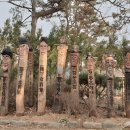 한다리권역 이미지