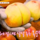 영덕농장 이미지