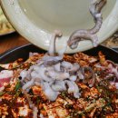 낙지천지 이미지