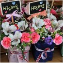 우리꽃배달 이미지