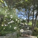 자연과 하루 이미지