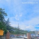 버드나무약국 이미지