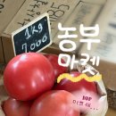 금관사과향기 | 🌿주말마다 감성 플리 마켓, 동대문 DDP 농부시장 마르쉐 후기, 로컬 제철 식재료 요리사와 식집사 대환영