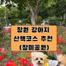 파리바게뜨가음정점 | 창원 강아지 산책장소 추천꾹! 가음정 장미공원 (공놀이하기 좋아요)