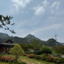 바우펜션 | 월출산 근처 펜션 후기 — 바우펜션에서 하룻밤