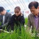 김영배농장 이미지