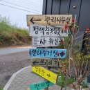 경기 평택 접근성 좋은 7가성비 캠핑장 무수캠핑장 방문 후기 - 장단점