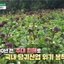 명인산업농장 네이버블로그
