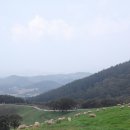 큰집목장 이미지