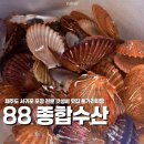 종합수산시장 | 제주 올레시장 맛집 ‘ 88종합수산 ’ 홍가리비 포장 솔직후기