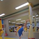 혜성태권도체육관 이미지