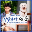 제주 남동생이 만찬을~~ 이미지