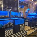 조개먹고돼지먹고 이미지