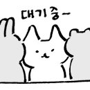 상원 손짜장