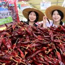 햇살마트 이미지