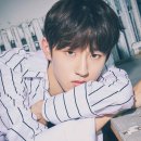 김민서 카카오 검색결과