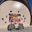 풍성농원 | 가을 감성 가득, 완도 ‘이든관광농원글램핑’ 후기