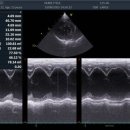 동물병원 누리에뜰 이미지