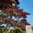 [부산 금정구 오륜동] &#34;기와집&#34;, 멋진 풍경의 룸에서 즐기는 오리불고기 후기