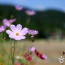 인천대공원(인천목재문화체험장) 이미지