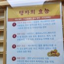 전주 효자동카페 찻집 한뜰 후기