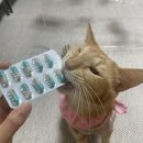 (주)이엘티사이언스 이미지