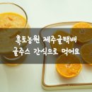 흑토랑농장 이미지