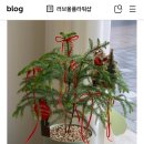 러브올플라워샵