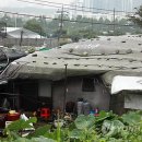 (유)구룡 이미지