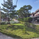 꿈꾸는 정원 이미지