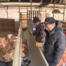 이명규농장 이미지