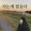 뿌듯했던 순간/연애는 포기한 2025