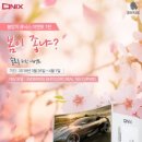 솔로PC 이미지