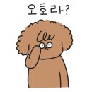 꽃돼지실비