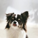 293사진관 이미지