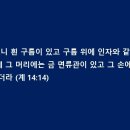 송이로 이미지