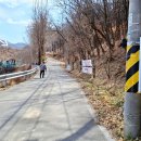 신동아양봉산업 이미지