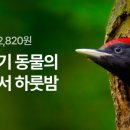 이니스테이 이미지